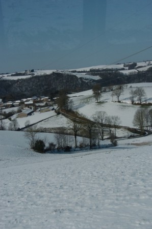 DSC_0895.JPG